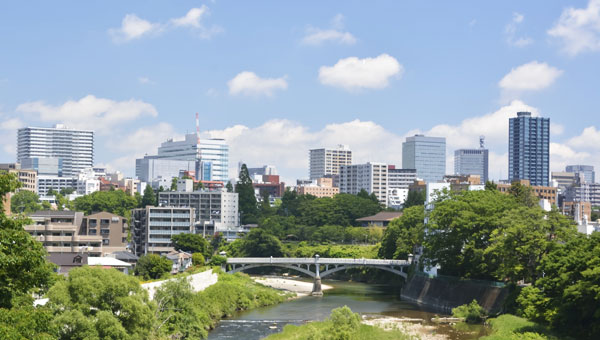 訪問エリア 一般社団法人 東北高齢者サポート協会 仙台の訪問リハビリマッサージ – らくだからだ治療院